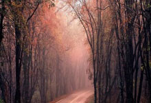 28圈官网:76人NBA虽胜马刺 主将恩比德怒呛裁判遭驱逐.