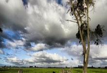 28圈官网：[德甲]第2轮：拜仁2-0弗赖堡 集锦.