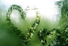 28圈官网:赵继伟19+7威尔斯22分 辽宁轻取北控迎6连胜.