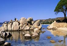 28圈官网:亚冠:泰山队主场战光州FC 拼字当头力争三分.